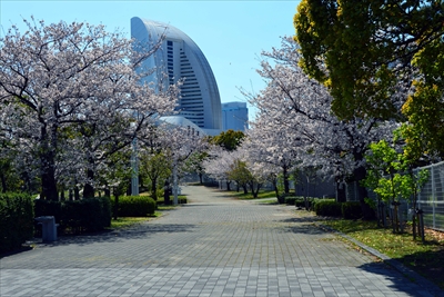 1067_なとみらい_神奈川