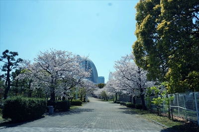 1068_なとみらい_神奈川