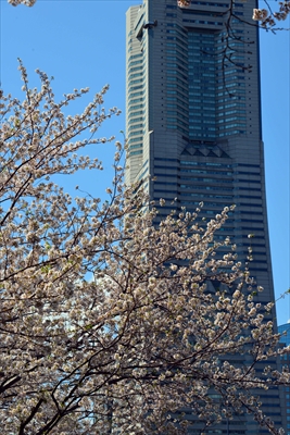 1070_なとみらい_神奈川