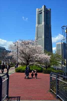 1075_なとみらい_神奈川