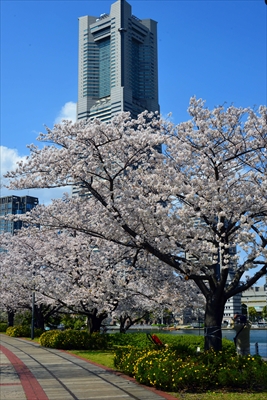1086_なとみらい_神奈川