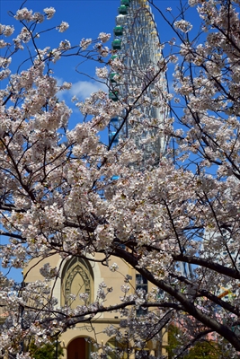 1087_なとみらい_神奈川