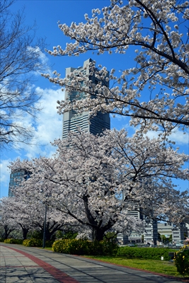 なとみらい_神奈川