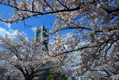 1097_なとみらい_神奈川