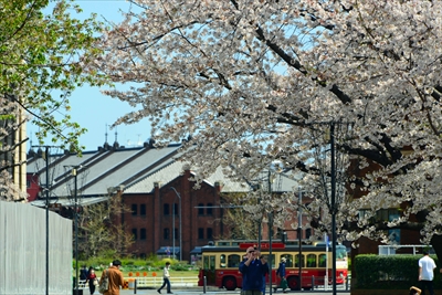 1099_なとみらい_神奈川