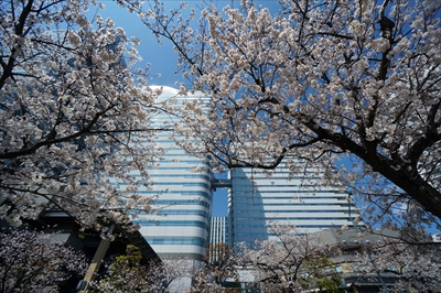 1101_なとみらい_神奈川