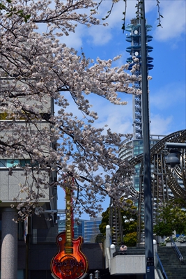 1102_なとみらい_神奈川