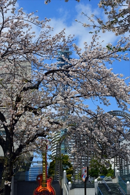 1103_なとみらい_神奈川