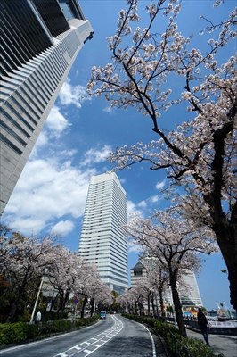 1108_なとみらい_神奈川