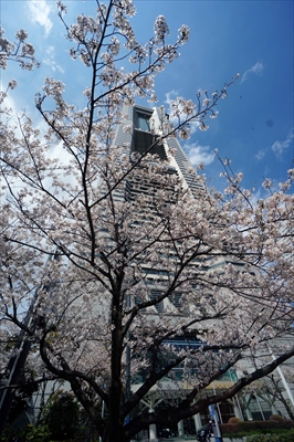 なとみらい_神奈川