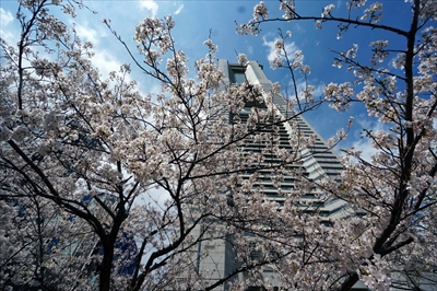 1110_なとみらい_神奈川