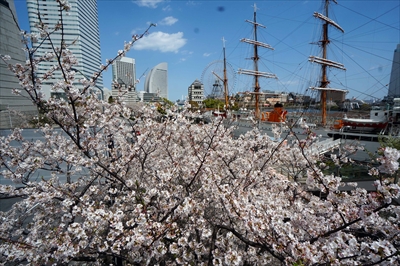 1111_なとみらい_神奈川