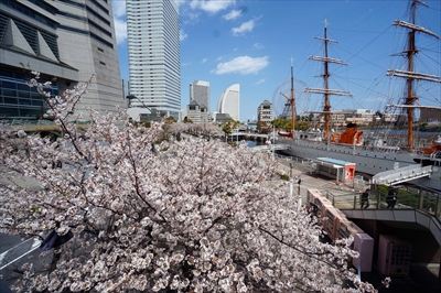 1112_なとみらい_神奈川