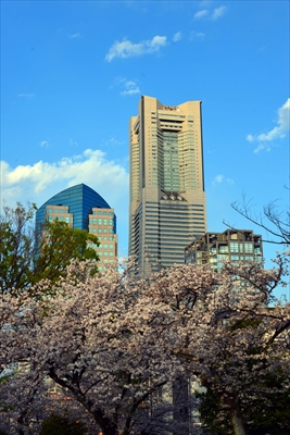 1120_掃部山公園_神奈川