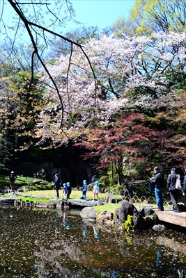 1032_靖国神社_東京