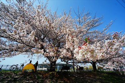 新横浜公園_神奈川