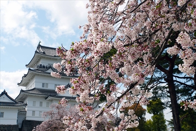 1009_小田原城_神奈川