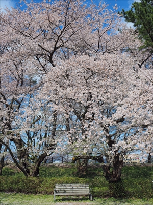 1004_霞城公園_山形
