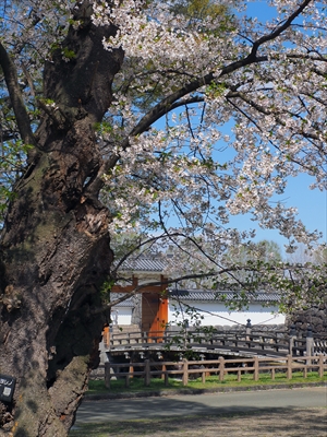 1007_霞城公園_山形