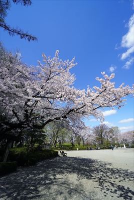 1029_霞城公園_山形