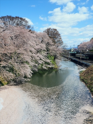 1031_霞城公園_山形