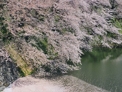 1032_霞城公園_山形