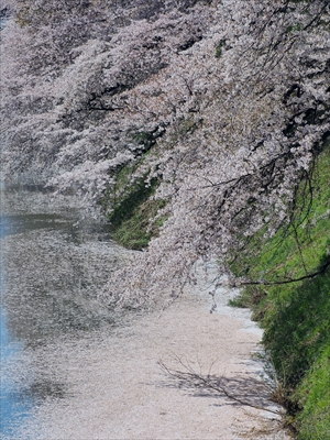 1033_霞城公園_山形