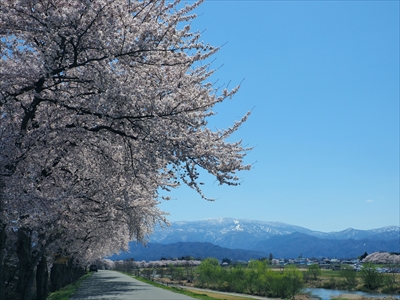 最上川河川敷_山形