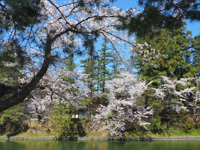 1052_上杉神社_山形