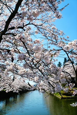上杉神社_山形