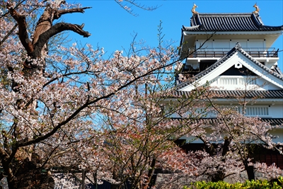 1095_上山城_山形