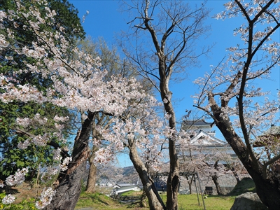 1096_上山城_山形