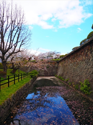1097_函館五稜郭公園_北海道