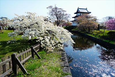 1022_松前城_北海道