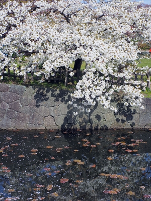 1023_松前城_北海道