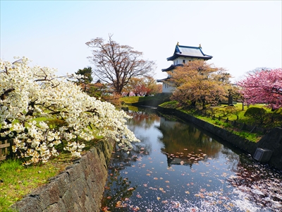 1025_松前城_北海道