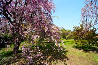 1027_松前城_北海道