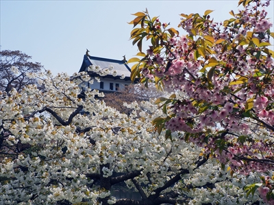 1029_松前城_北海道