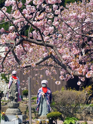 1034_松前城_北海道