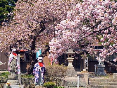 1035_松前城_北海道