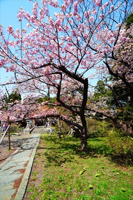 1036_松前城_北海道