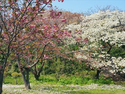 1043_松前城_北海道