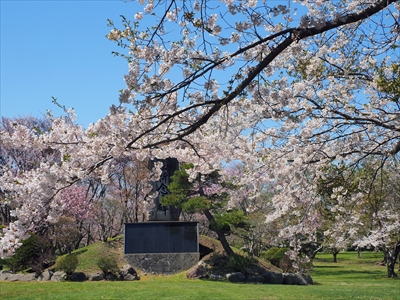 1052_八雲町さらんべ公園_北海道