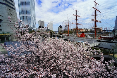 1114_なとみらい_神奈川