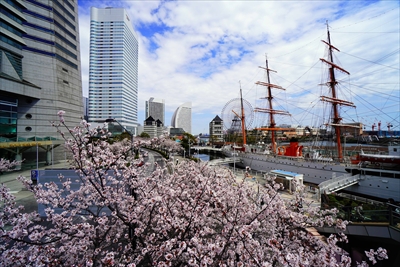 1115_なとみらい_神奈川