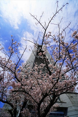 なとみらい_神奈川