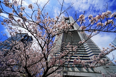 1119_なとみらい_神奈川