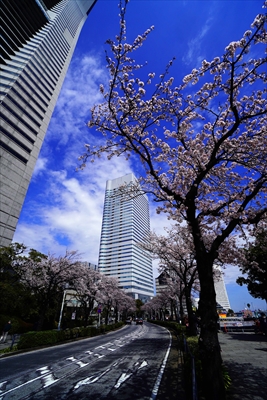 1120_なとみらい_神奈川