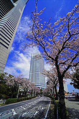 1121_なとみらい_神奈川