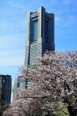 1123_なとみらい_神奈川